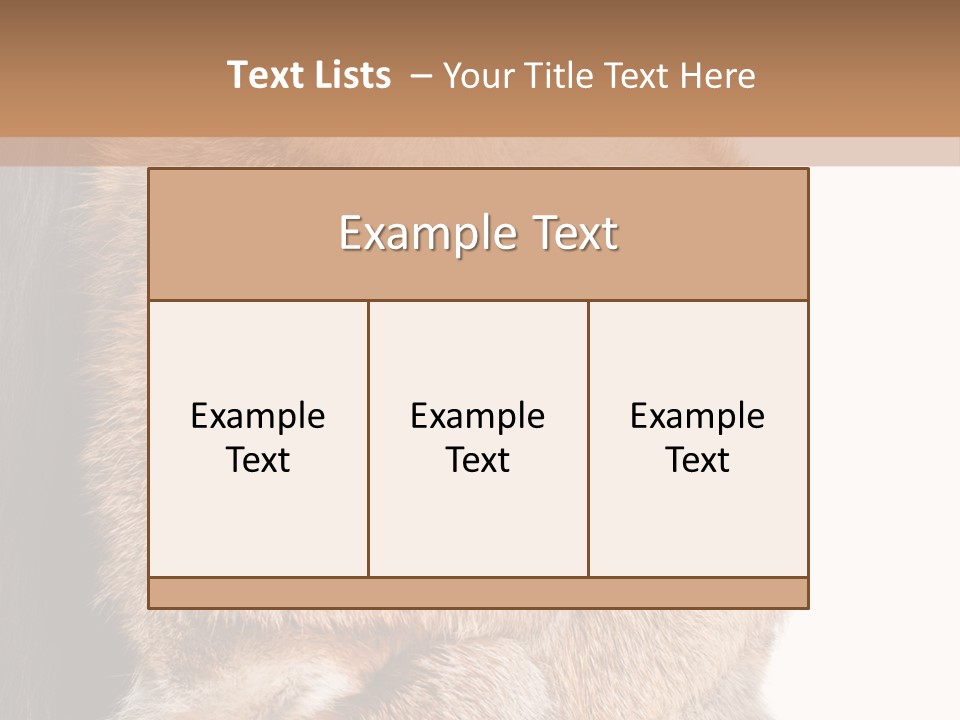 Beautiful Woman In Fur Coat PowerPoint Template