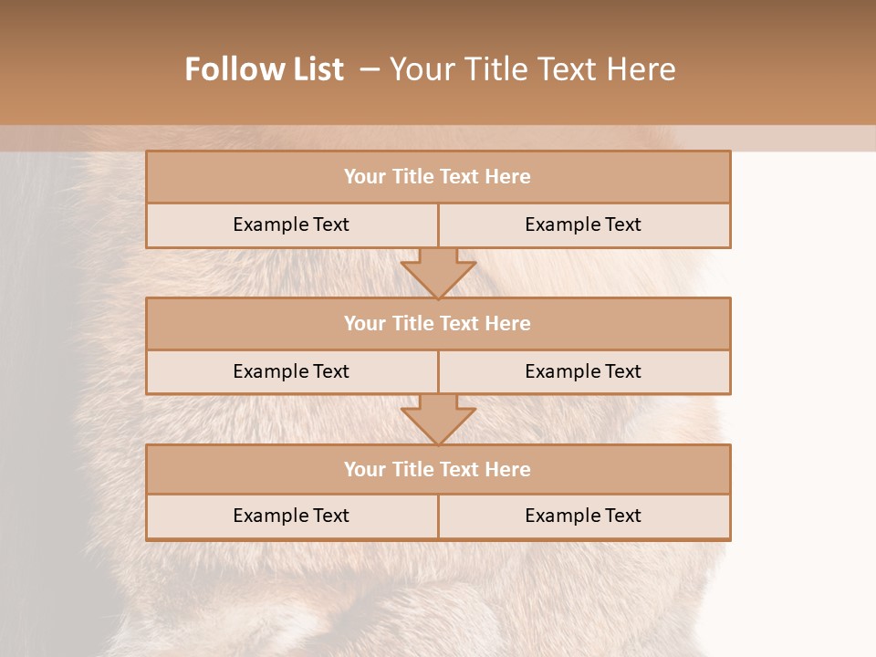 Beautiful Woman In Fur Coat PowerPoint Template