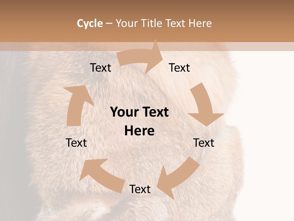 Beautiful Woman In Fur Coat PowerPoint Template