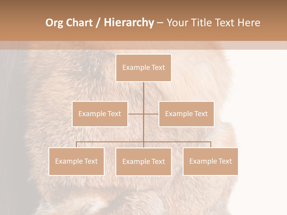 Beautiful Woman In Fur Coat PowerPoint Template