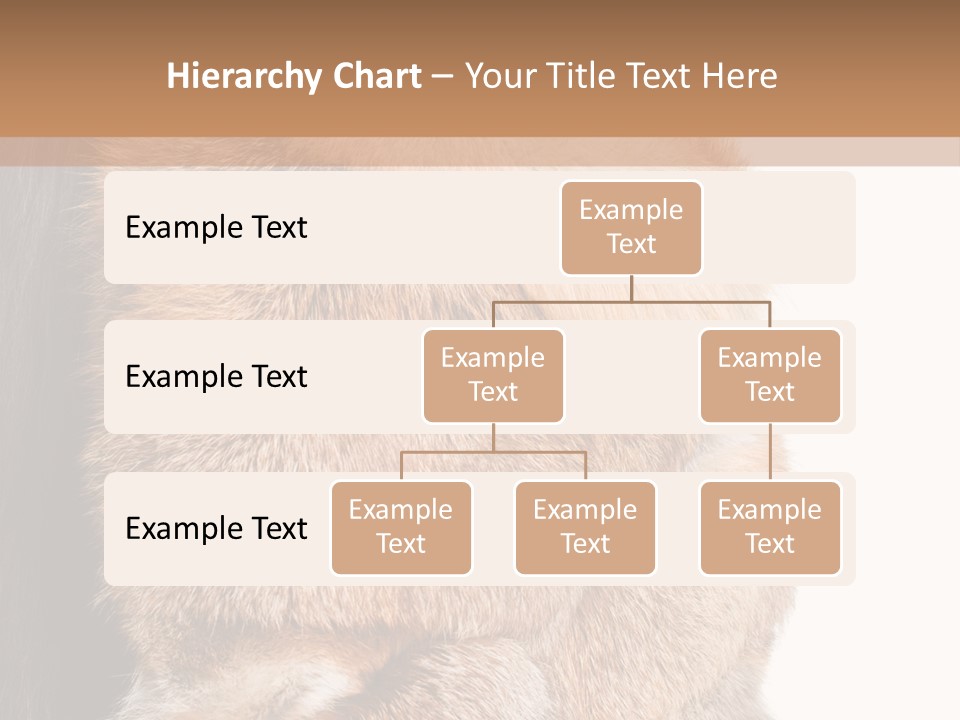 Beautiful Woman In Fur Coat PowerPoint Template