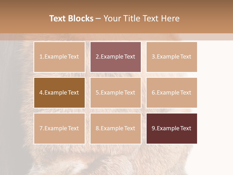 Beautiful Woman In Fur Coat PowerPoint Template