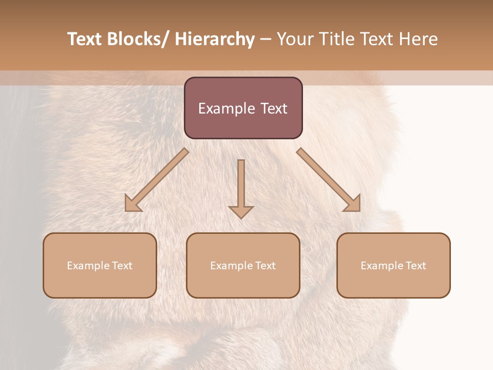 Beautiful Woman In Fur Coat PowerPoint Template