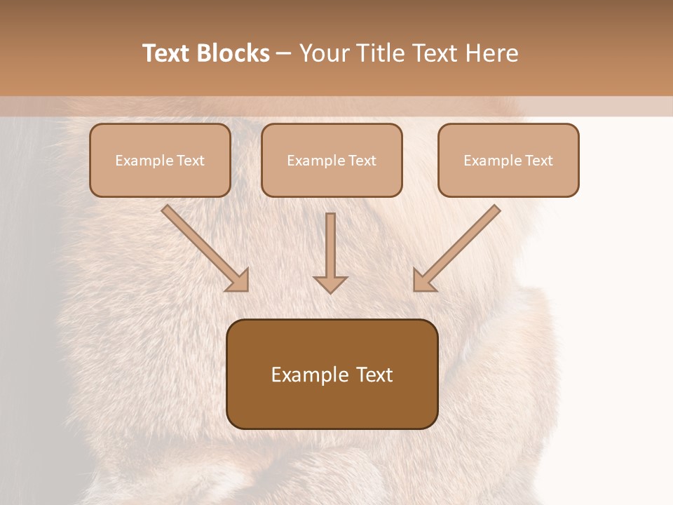 Beautiful Woman In Fur Coat PowerPoint Template