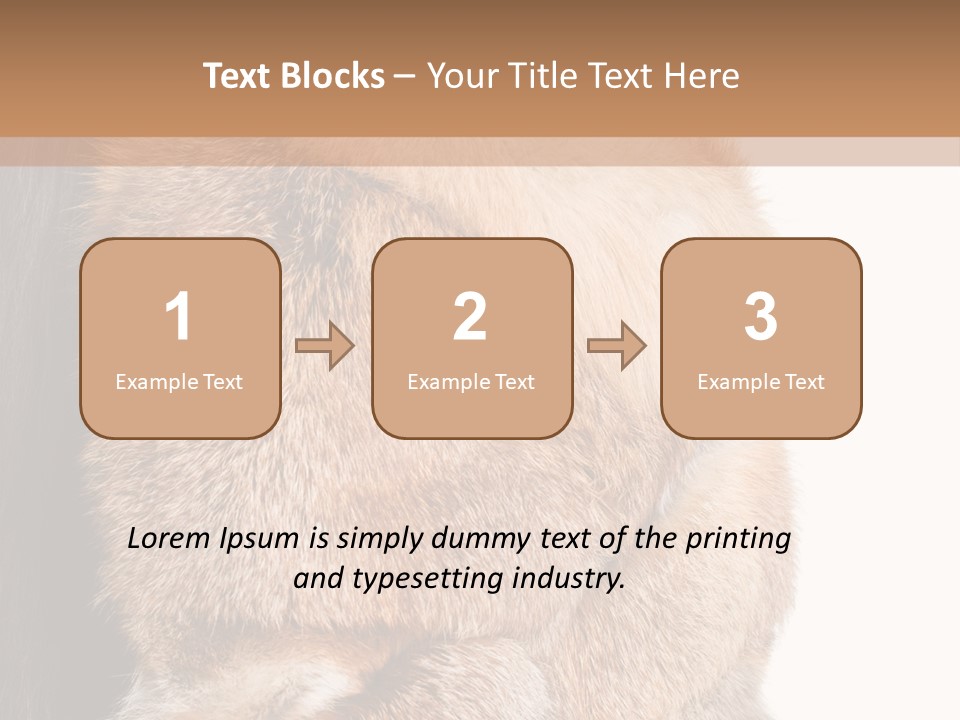 Beautiful Woman In Fur Coat PowerPoint Template