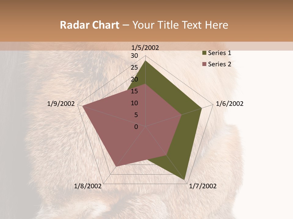 Beautiful Woman In Fur Coat PowerPoint Template