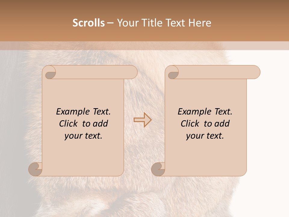 Beautiful Woman In Fur Coat PowerPoint Template