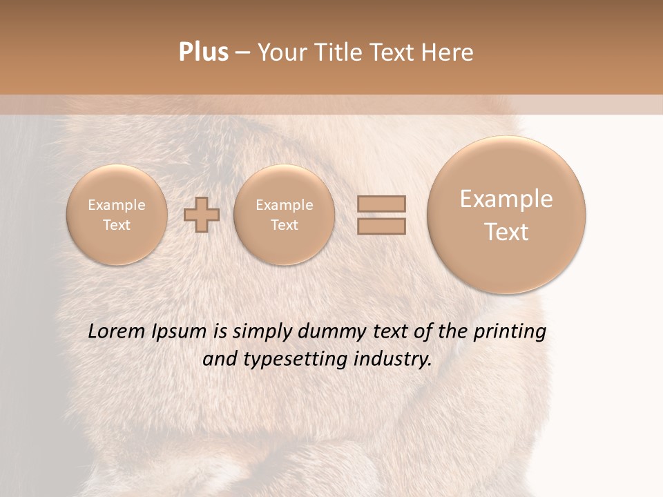 Beautiful Woman In Fur Coat PowerPoint Template