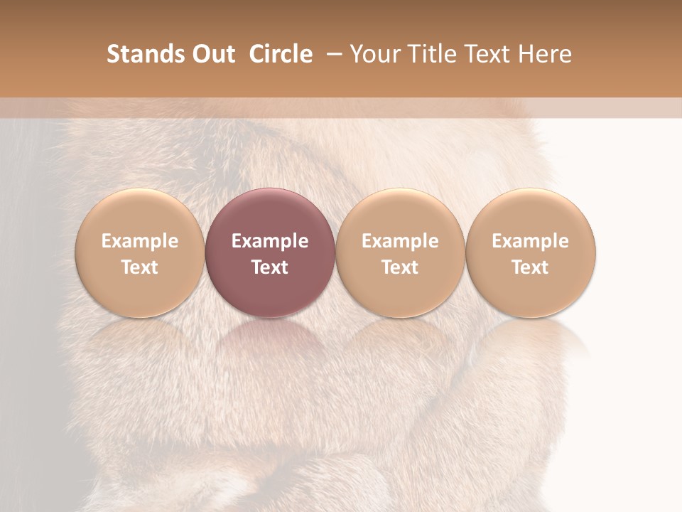 Beautiful Woman In Fur Coat PowerPoint Template