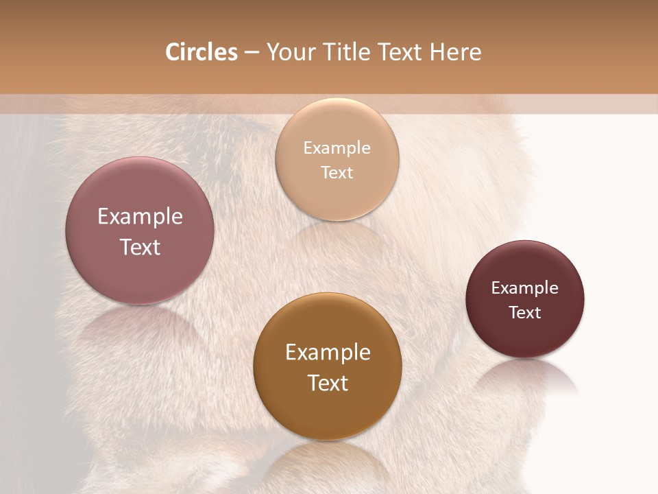 Beautiful Woman In Fur Coat PowerPoint Template