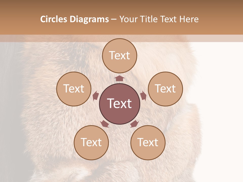 Beautiful Woman In Fur Coat PowerPoint Template