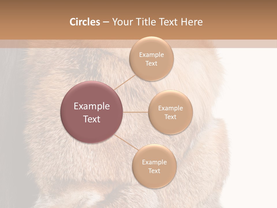 Beautiful Woman In Fur Coat PowerPoint Template