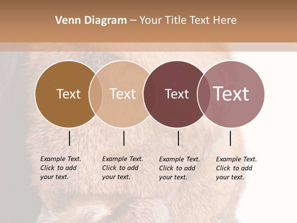 Beautiful Woman In Fur Coat PowerPoint Template