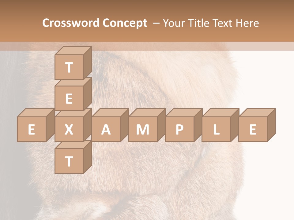 Beautiful Woman In Fur Coat PowerPoint Template