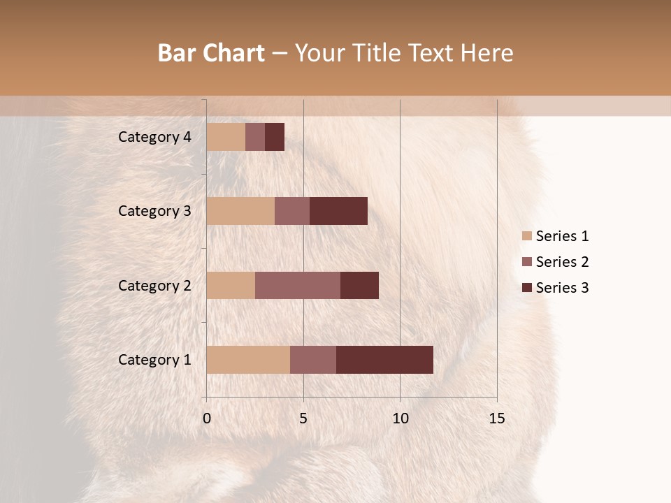 Beautiful Woman In Fur Coat PowerPoint Template