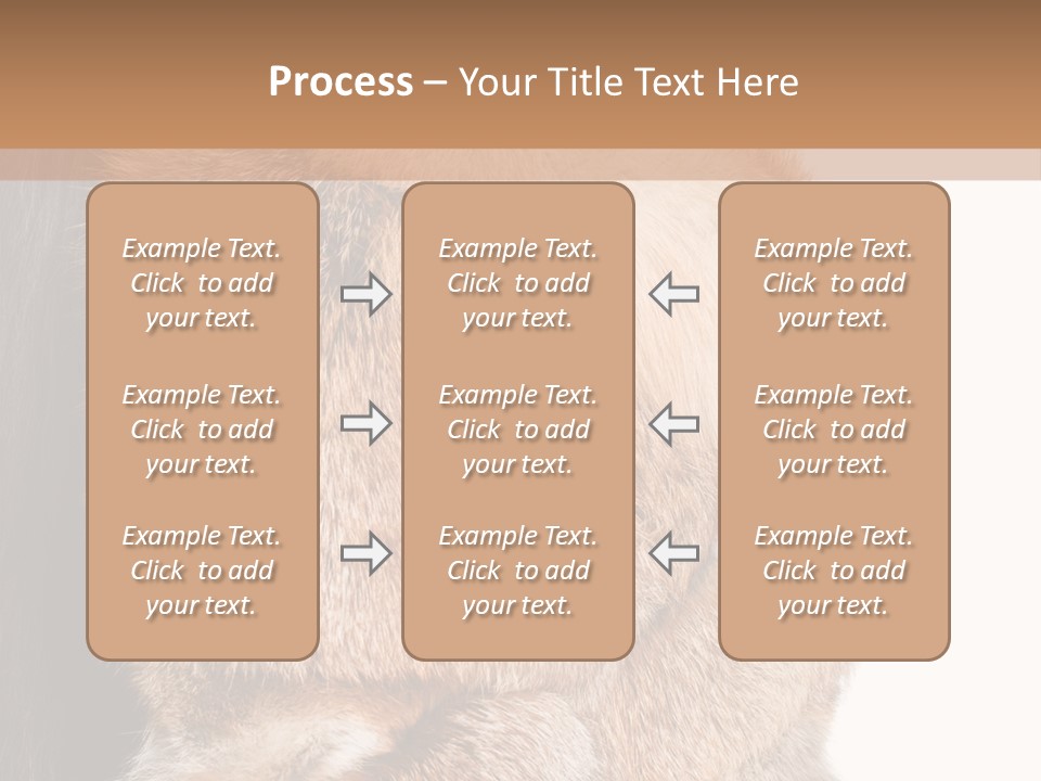 Beautiful Woman In Fur Coat PowerPoint Template