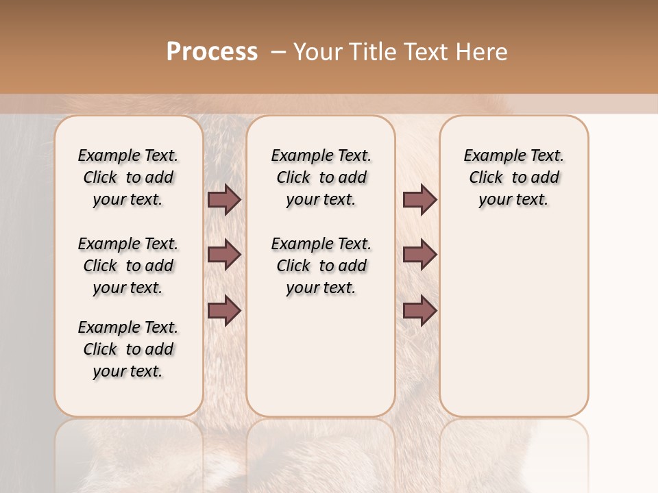 Beautiful Woman In Fur Coat PowerPoint Template