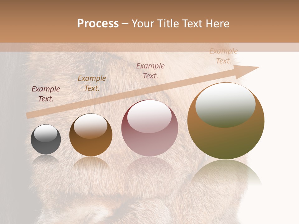 Beautiful Woman In Fur Coat PowerPoint Template