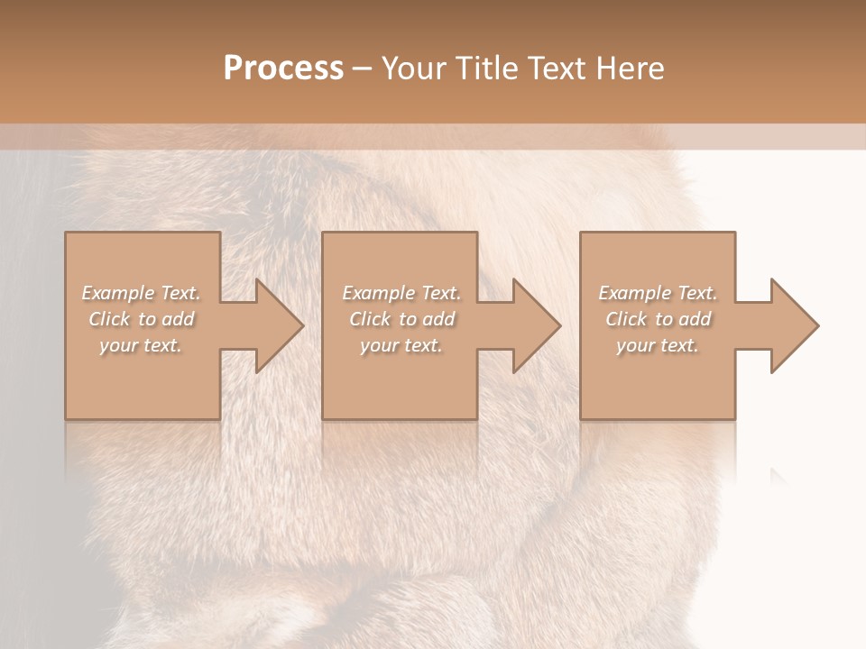 Beautiful Woman In Fur Coat PowerPoint Template