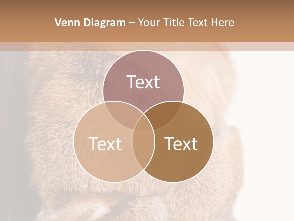 Beautiful Woman In Fur Coat PowerPoint Template