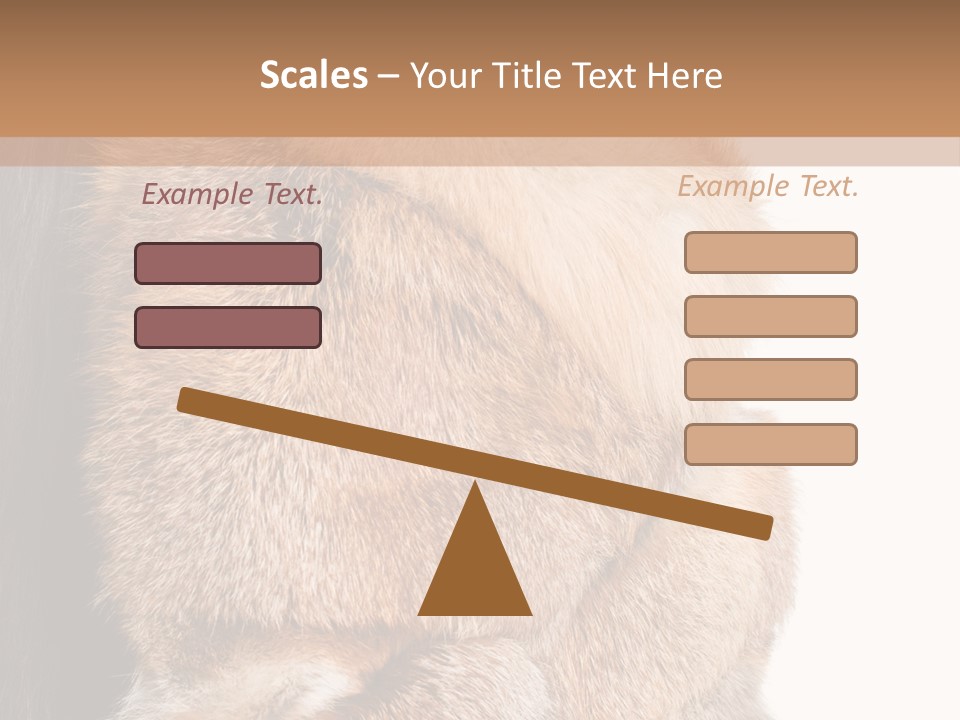 Beautiful Woman In Fur Coat PowerPoint Template