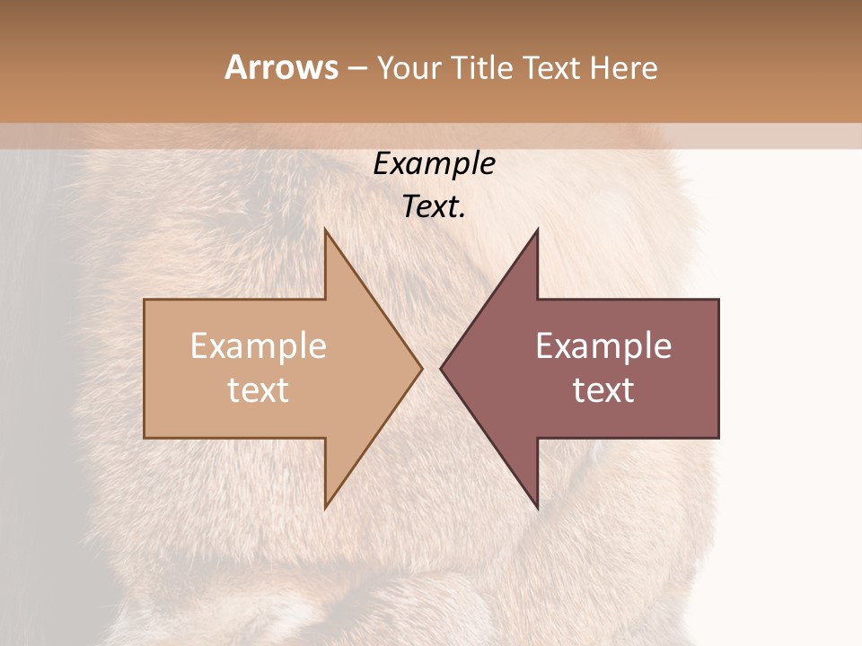 Beautiful Woman In Fur Coat PowerPoint Template