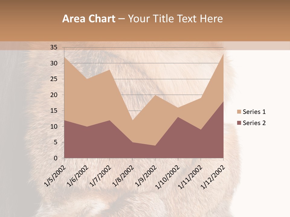 Beautiful Woman In Fur Coat PowerPoint Template