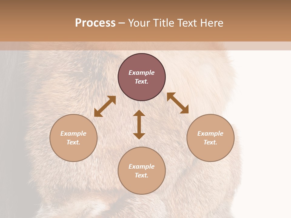 Beautiful Woman In Fur Coat PowerPoint Template