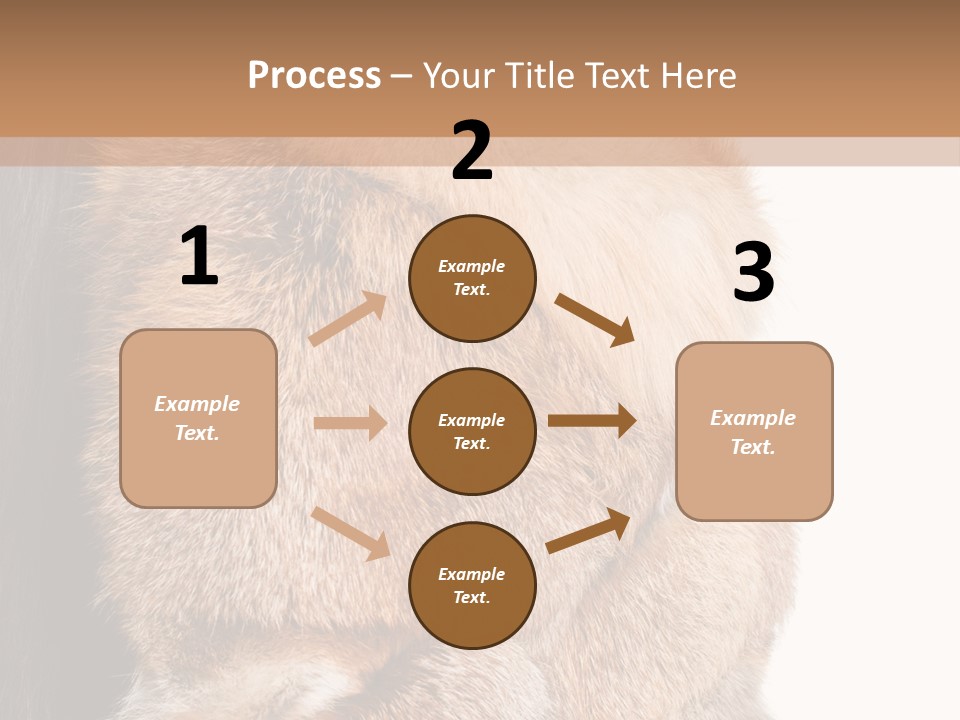 Beautiful Woman In Fur Coat PowerPoint Template