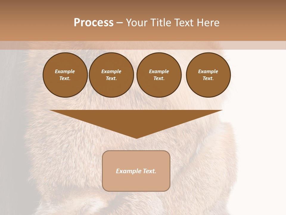 Beautiful Woman In Fur Coat PowerPoint Template