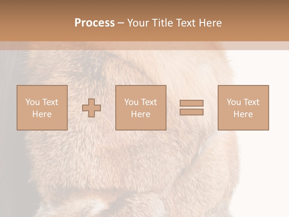 Beautiful Woman In Fur Coat PowerPoint Template