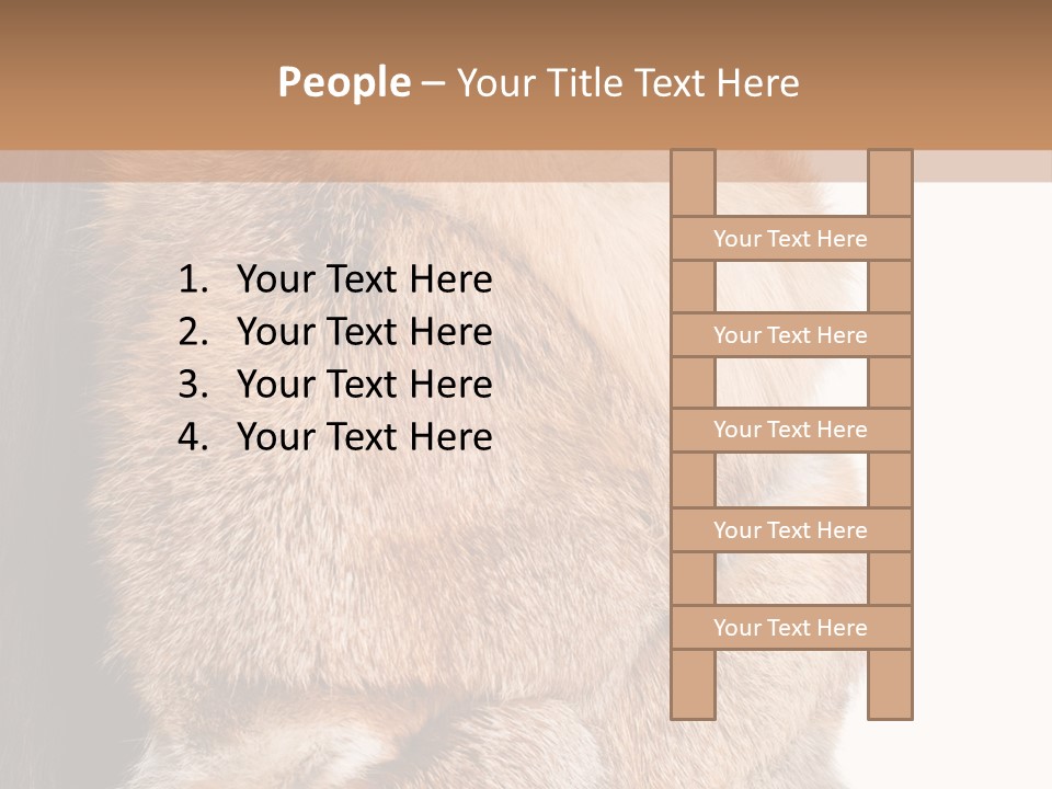 Beautiful Woman In Fur Coat PowerPoint Template