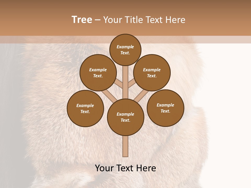 Beautiful Woman In Fur Coat PowerPoint Template