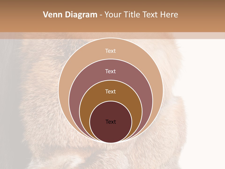 Beautiful Woman In Fur Coat PowerPoint Template