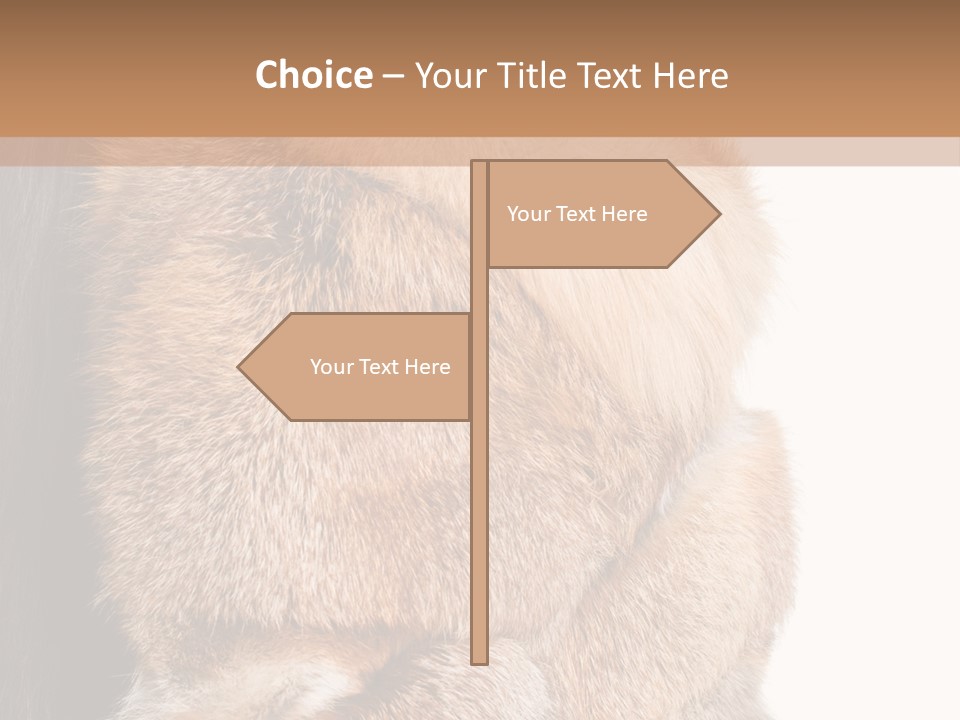 Beautiful Woman In Fur Coat PowerPoint Template