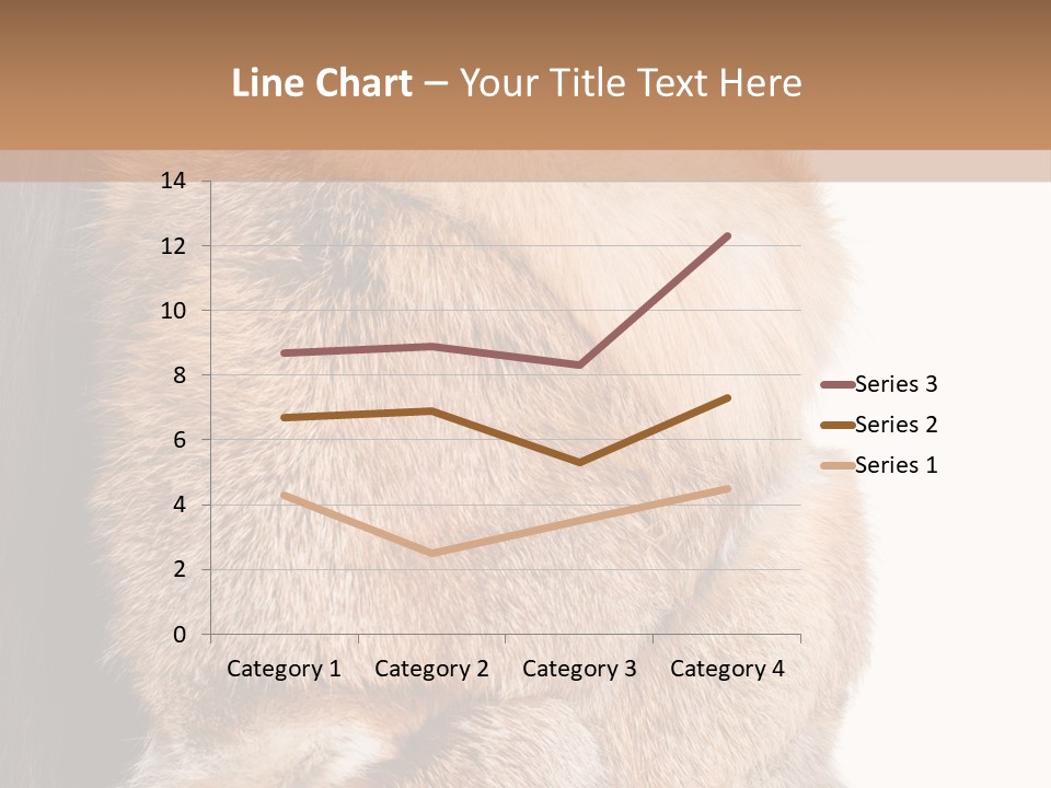 Beautiful Woman In Fur Coat PowerPoint Template