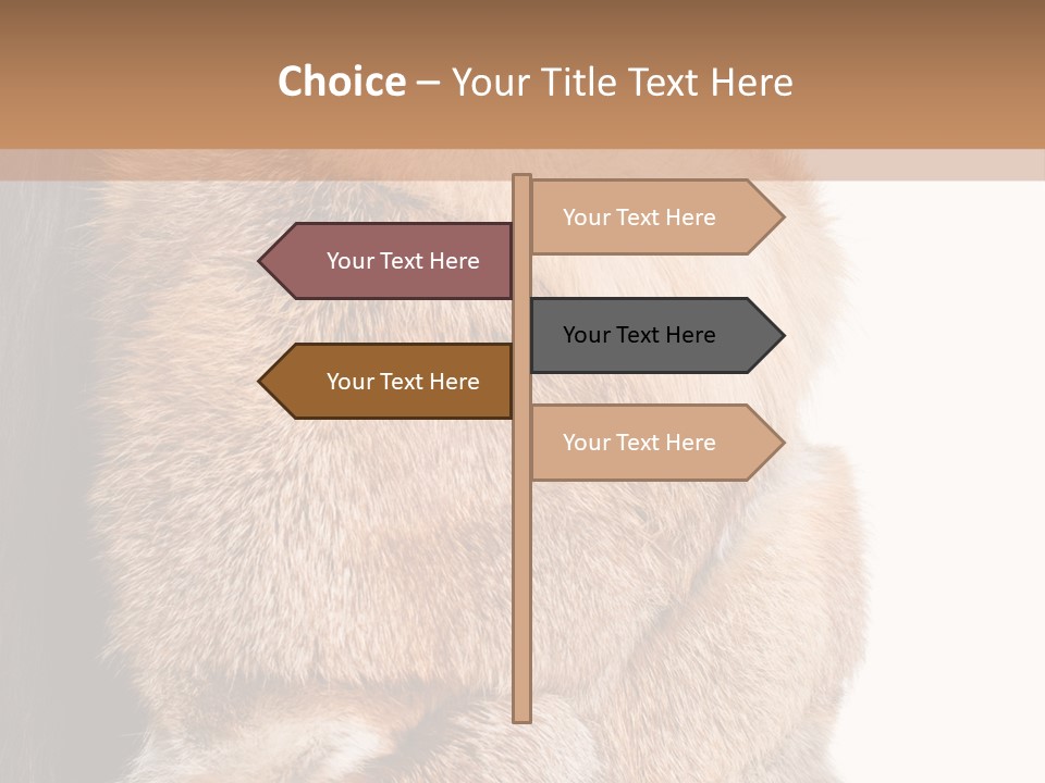 Beautiful Woman In Fur Coat PowerPoint Template