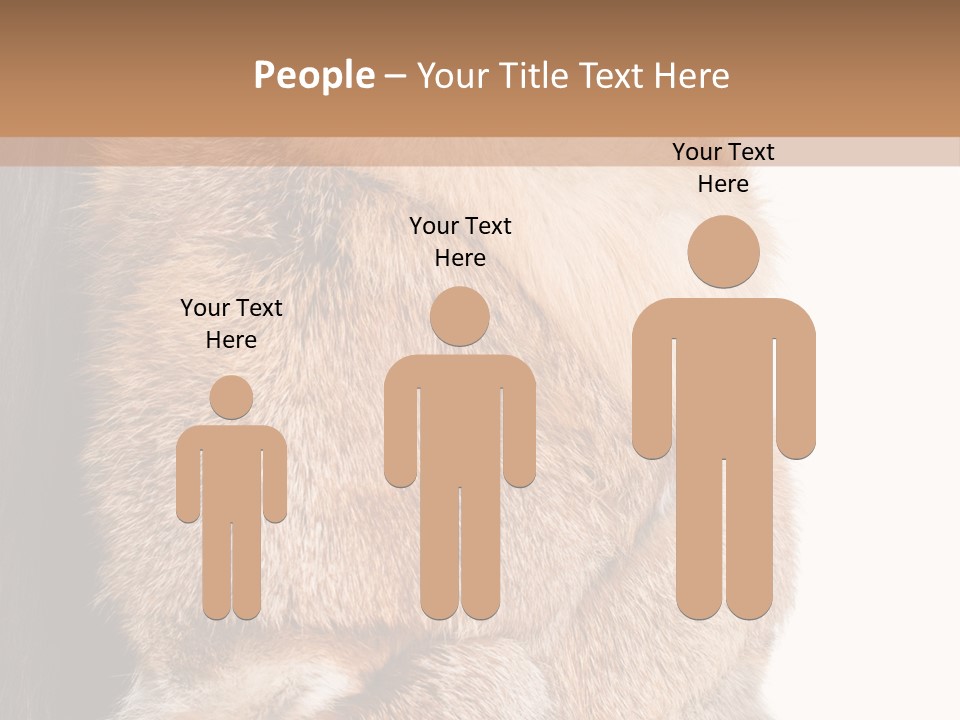 Beautiful Woman In Fur Coat PowerPoint Template