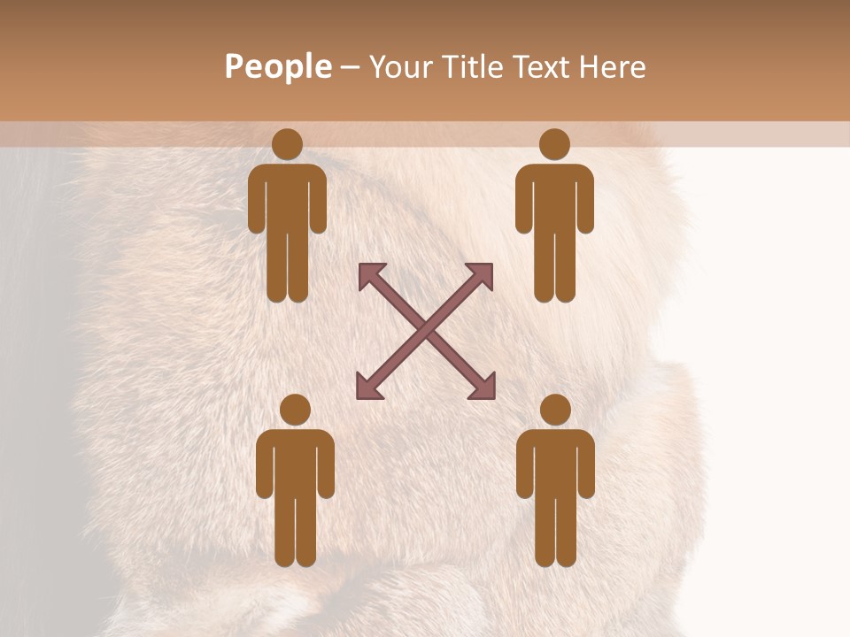 Beautiful Woman In Fur Coat PowerPoint Template