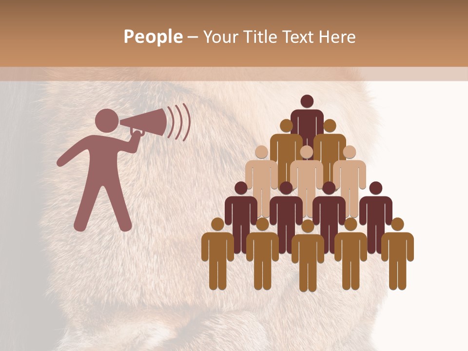 Beautiful Woman In Fur Coat PowerPoint Template