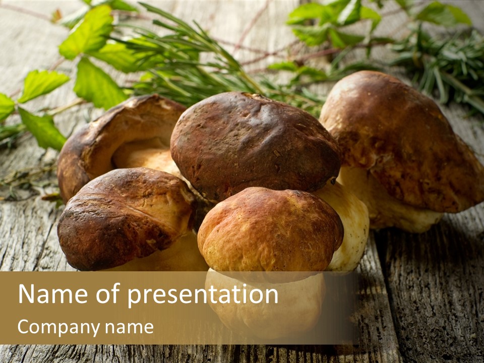 Mushroom Fungus PowerPoint Template