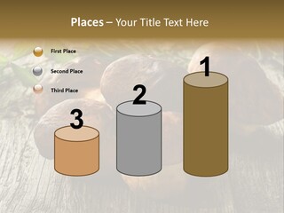 Mushroom Fungus PowerPoint Template