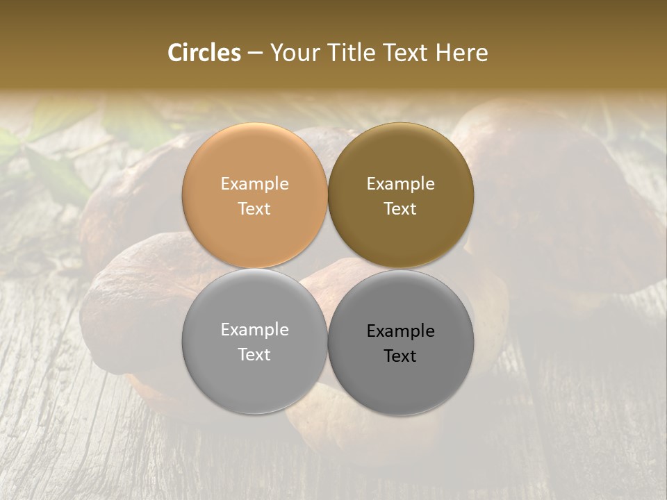 Mushroom Fungus PowerPoint Template