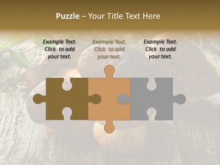 Mushroom Fungus PowerPoint Template