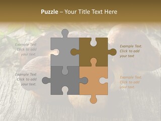 Mushroom Fungus PowerPoint Template