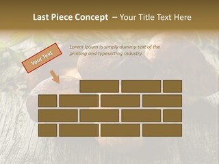 Mushroom Fungus PowerPoint Template