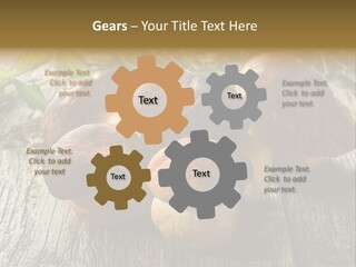 Mushroom Fungus PowerPoint Template