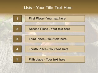 Mushroom Fungus PowerPoint Template