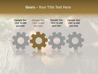 Mushroom Fungus PowerPoint Template