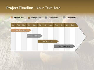 Mushroom Fungus PowerPoint Template